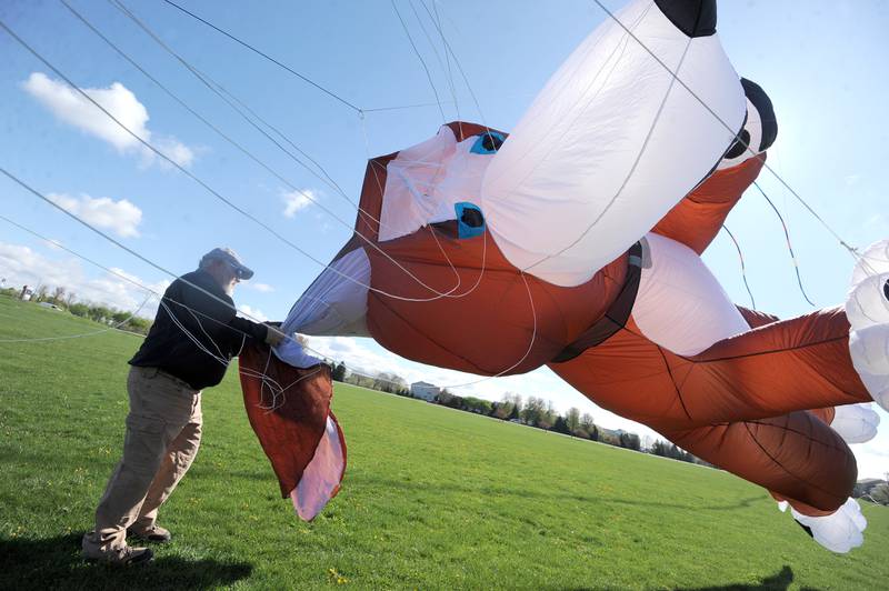 Chicago Kite Team's, Jim Gates of Aurora ready a large dog kite during a celebration of Earth Day and National Kite Month at Prairie Point Park in Oswego, Saturday, April 20, 2024.