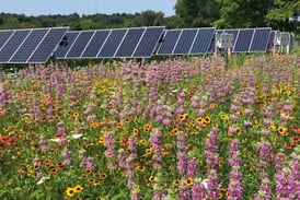 Yorkville joining community solar farm to reduce city electricity bills by 10%