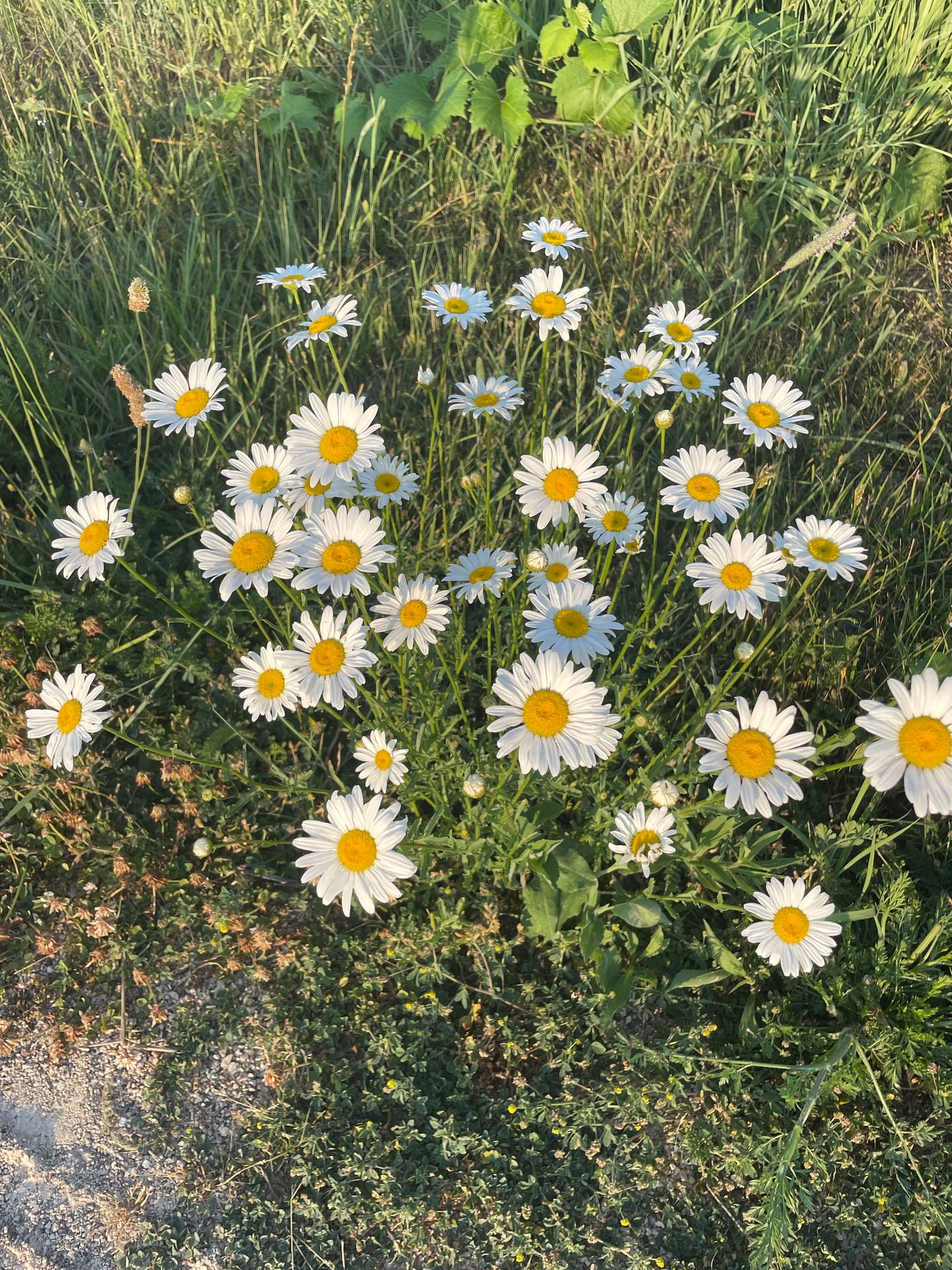 Growing a healthy garden means tending to the space all year round.