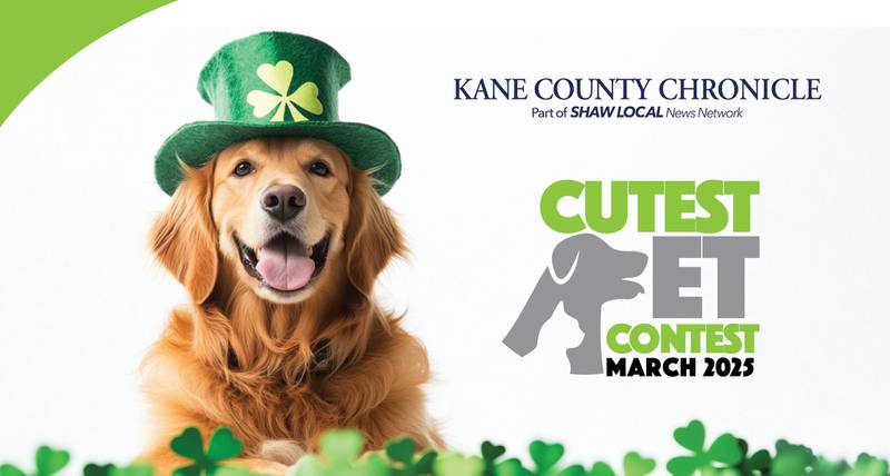 KCC March Pets