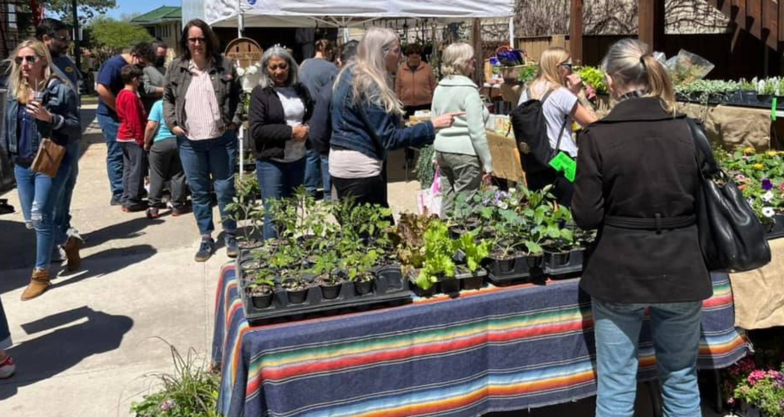 Back Alley Market set for May 13 in downtown DeKalb Shaw Local