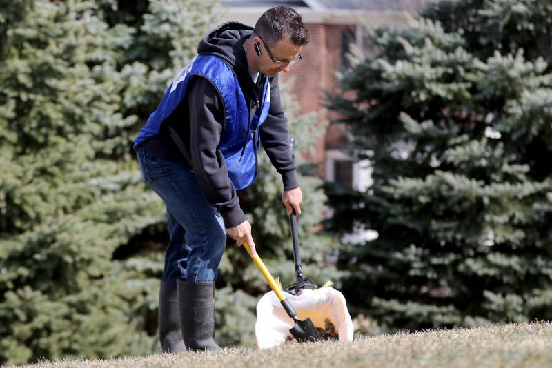 Pandemic pooch purchases, plentiful snow keeps northern Illinois pooper