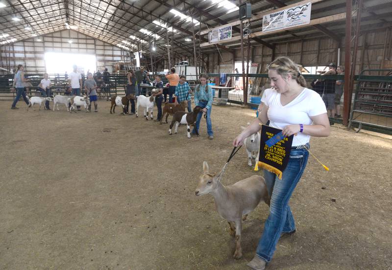 Ava Prior, 18, of Franklin Grove, leads her goat "Mochalicious" out of the show ring after winning the "Lee County Born & Bred Division" at the Lee County 4-H Fair on Thursday.