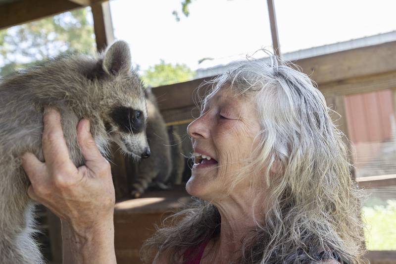 Jane Hochstatter, who has rescued raccoons and other animals for 30 years, is losing her home and farm where she cares for the animals.
