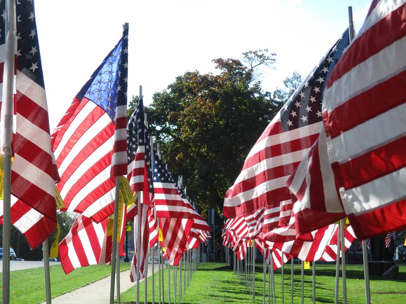 American flags flutter in the breeze in Yorkville's Town Square Park for the annual Flags of Valor display, which will remain in place through Veterans Day, Nov. 11.