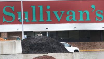Photos: Canadian goose lays her eggs in a parking lot at Sullivans in Princeton