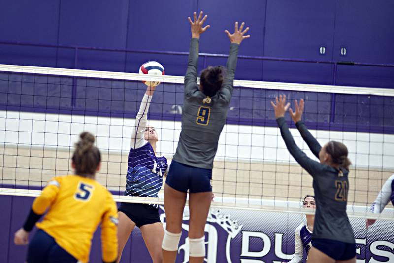 Photos Sterling at Dixon volleyball Shaw Local