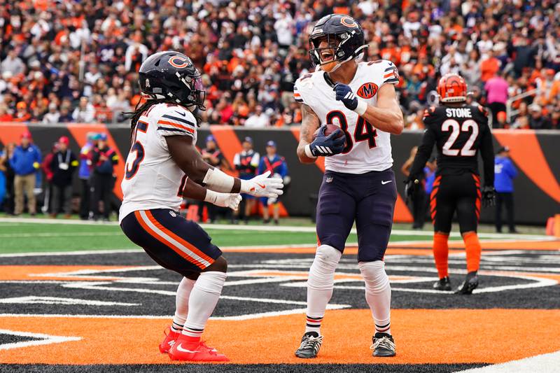 Chicago Bears tight end Colston Loveland (84), right, celebrates his touchdown with running back Kyle Monangai (25) during the second half of an NFL football game against the Cincinnati Bengals, Sunday, Nov. 2, 2025, in Cincinnati. (AP Photo/Jeff Dean)