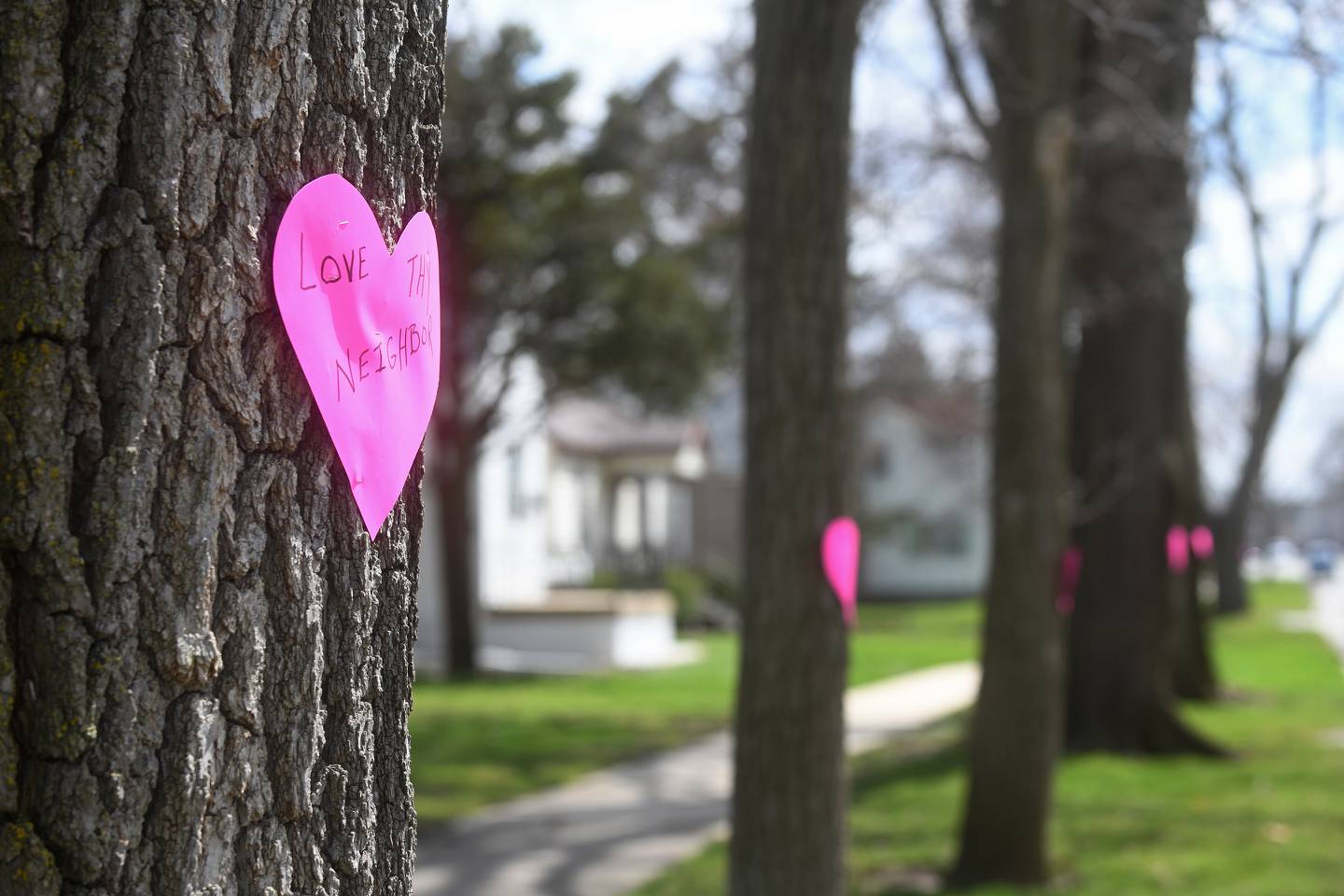 A paper heart that reads “Love thy neighbor” hangs with dozens of others on trees along South Center Avenue in Bradley on April 1, 2020.