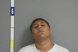 La Salle man gets prison in stolen gun case