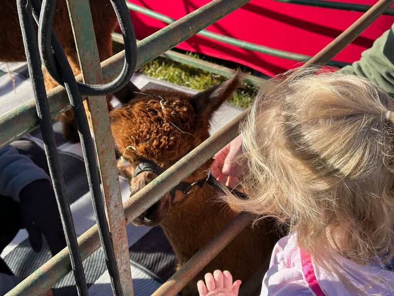 Tiskilwa's annual Christmas Market from 10 a.m. to 1 p.m. Saturday, Dec. 7, will include Santa, numerous vendors and a couple alpacas to pet, along with many other activities as visitors Walk Tiskilwa.