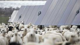 $14 billion in clean energy projects have been canceled in the US this year, analysis says