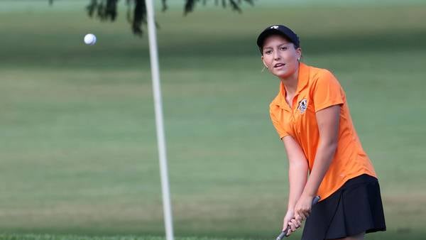 Daily Chronicle 2025 All-Area Golf Teams