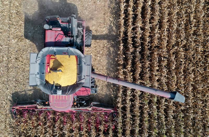 Dennis Faber harvests corn for Stauffer Farms near the intersection of Illinois Route 92 and Route 34 on Tuesday, Sept. 17, 2024 in La Moille.
