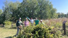 ‘Living museum’: New generation of volunteers aims to restore rare, ancient prairies in Cary 