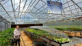 Polo Community Garden Club informational meeting set for April 6