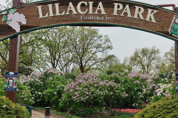 Springtime festivals celebrate music, art, history in northern Illinois