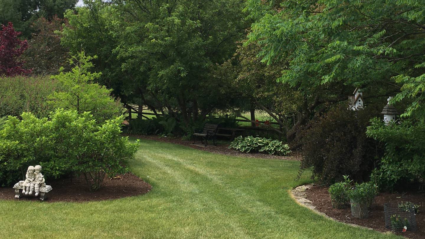 The Lyon family garden