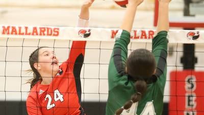 2025 NewsTribune area volleyball leaders