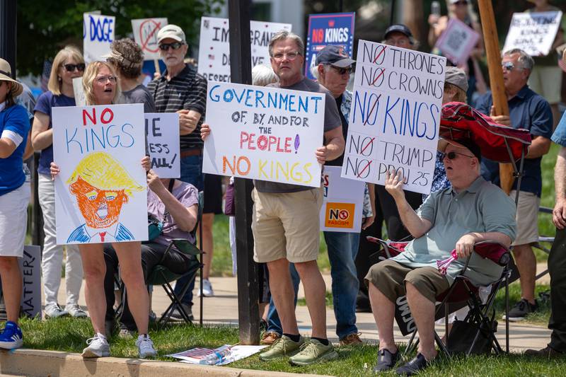 Protesters flood rotary park at the “No Kings” protest on Saturday, June 14, 2025 in Princeton.