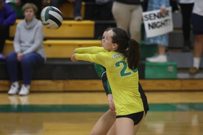 Photos: Downers Grove South vs Providence Girls Volleyball Shaw Local