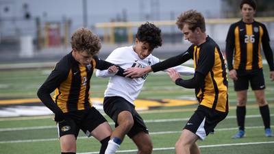 Photos: IHSA Class 1A Herscher Regional, boys soccer