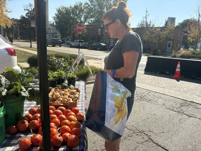 Lisa Trent looks at tomatoes at the Huntley Farmers Market Oct. 4, 2025.