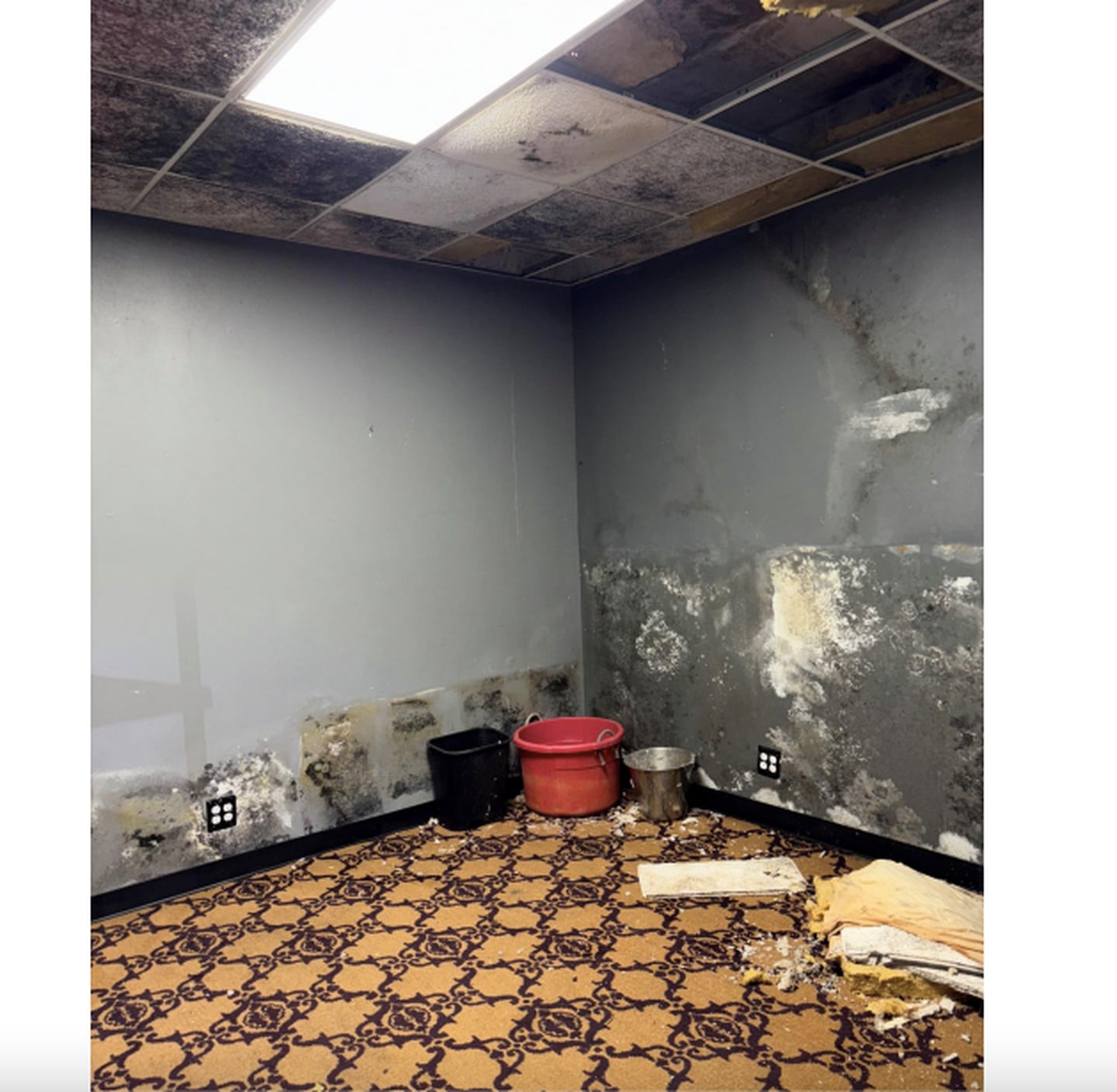 "Mold-like" substances found inside one of the rooms of 200-202 S. Main St., Algonquin.