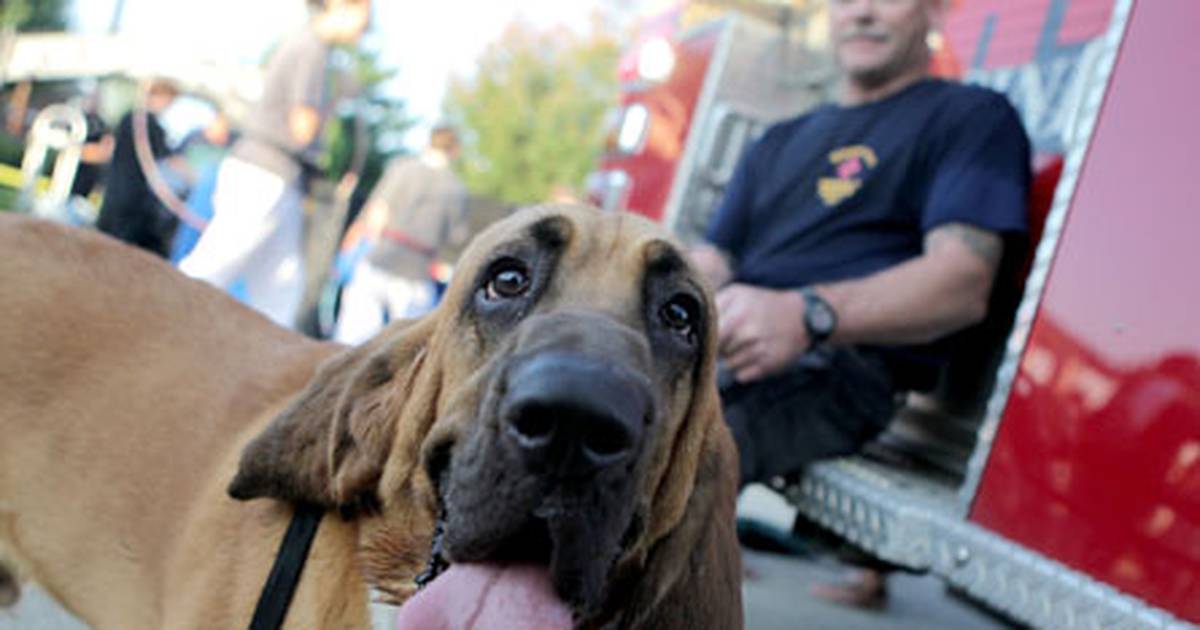 National Night Out returns to Campton Hills Aug. 5