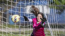 Team positioning themselves in final week before the playoffs: The Herald-News Girls Soccer Notebook