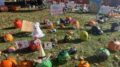DeKalb County fall, holiday events celebrate the season