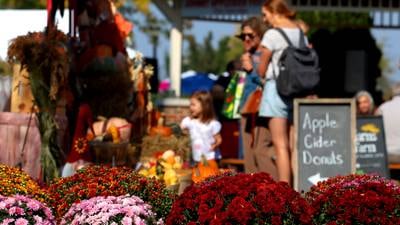 5 things to do in McHenry County: Johnny Appleseed Festival in Crystal Lake
