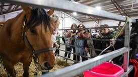 A day of agriculture
