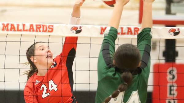 2025 NewsTribune area volleyball leaders