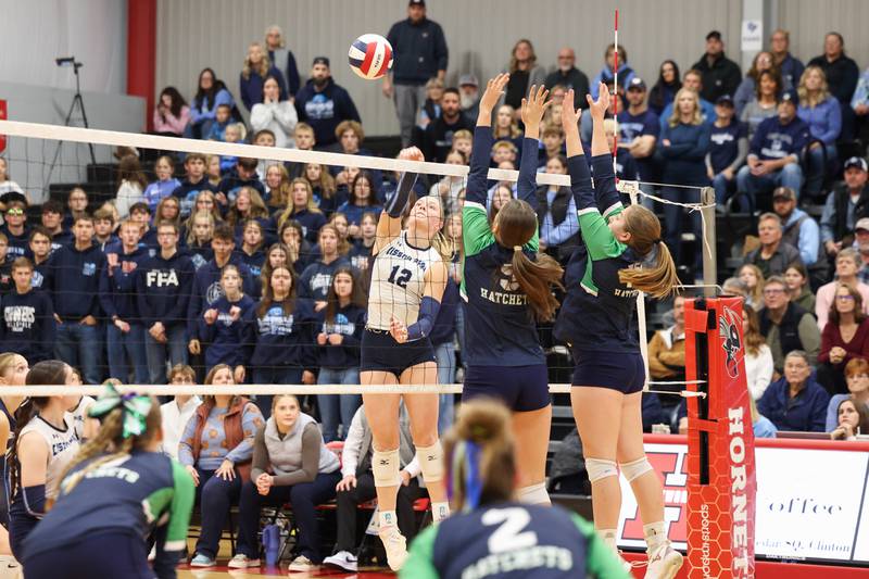 Cissna Park's Josie Neukomm spikes the ball during the Timberwolves' victory in two sets, 25-22, 25-11, over Windsor/Stewardson-Strasburg in the IHSA Class 1A Heyworth Super-Sectional on Monday, Nov. 10, 2025.