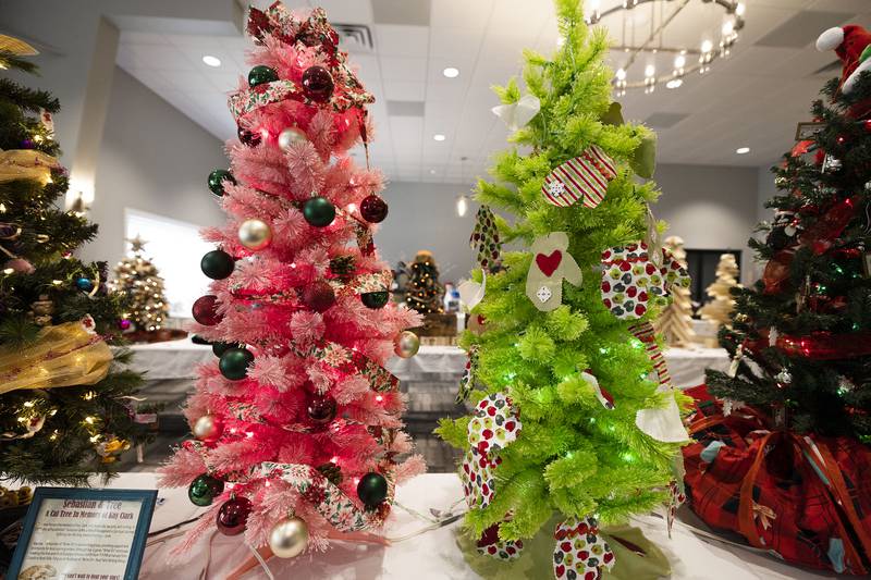 Colorful trees await your bid Thursday, Nov. 13, 2025, for Rock River Hospice and Home’s Festival of Trees at McCormick Event Center in Rock Falls.