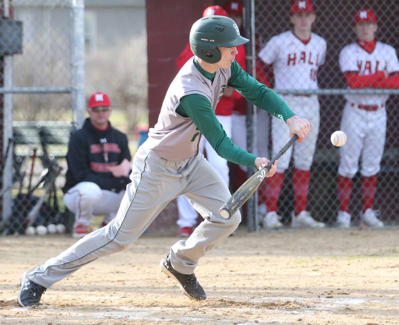 St. Bede's Ryan Brady lays down a bunt against Hall on Monday, March 27, 2023 at Kirby Park in Spring Valley.