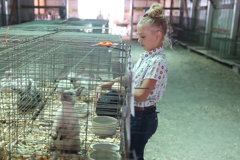 Kenzie Christensen tends to her hares after competing at the Grundy County 4-H Fair on Sunday, July 30 in Morris.