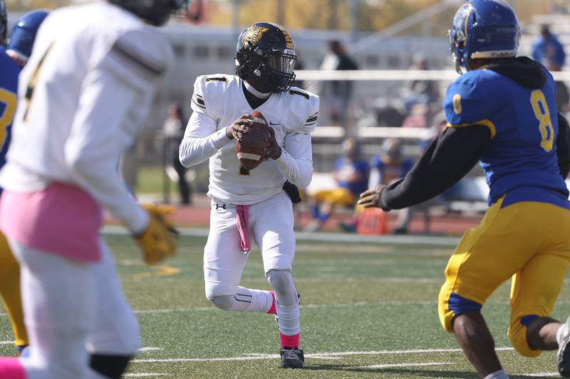 Joliet West’s Carl Bew drops back to pass against Joliet Central on Saturday.