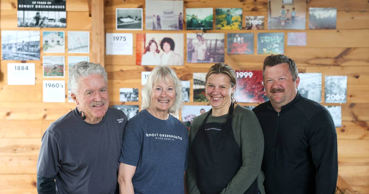 Image for article 50 years of growth Benoit Greenhouses continues familyowned operation