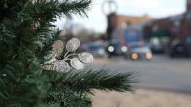 Celebrate Small Business Saturday in Plainfield