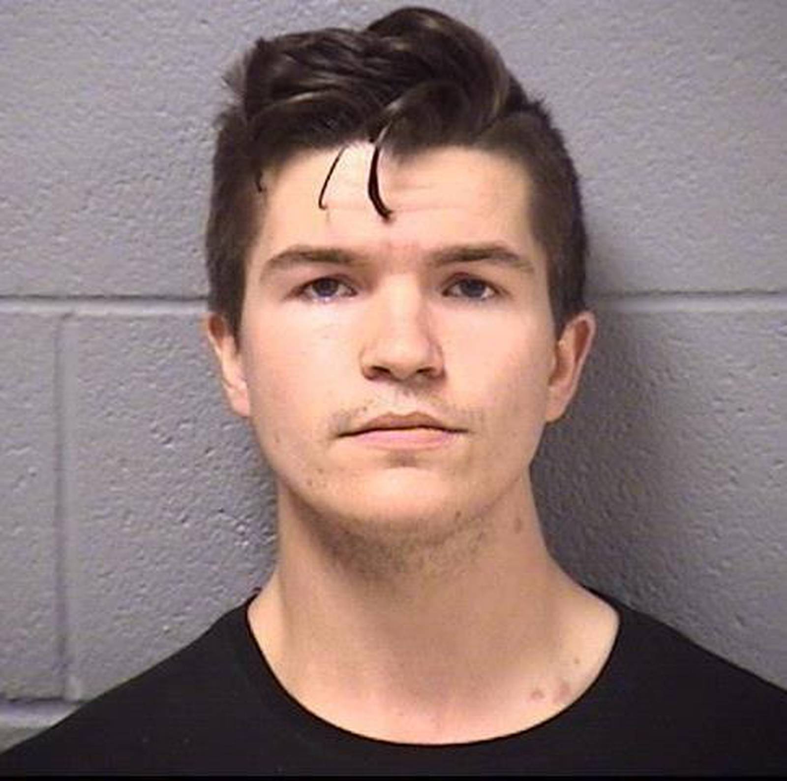 Homer Glen man faces felony charge over alleged Lockport attack Shaw