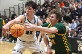 Boys basketball: 2025-26 All-Fox Valley Conference team announced
