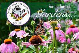 Batavia Plain Dirt Gardeners offers $2K scholarship