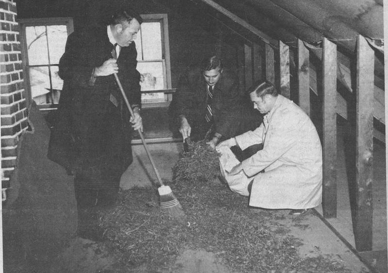 1970: This photo ran under a huge and bold headline “$10,000 MARIJUANA CACHE SEIZED NEAR PLANO”. Shown gathering marijuana in a farmhouse attic are Kendall County Sheriff Thomas Usry, Chief Deputy Victor Frantz and Kendall County States Attorney Dallas Ingemunson.