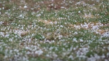 From 61 degrees to snow? Northern Illinois could see winter return by St. Patrick’s Day