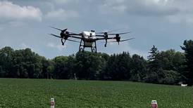 La Salle County crop and rainfall report: Farmers assess storm impact as corn continues to tassel