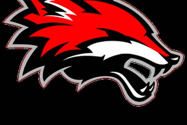 Yorkville boys wrestlers beat Lincoln-Way West on tiebreaker: Tuesday’s Record Newspapers sports roundup