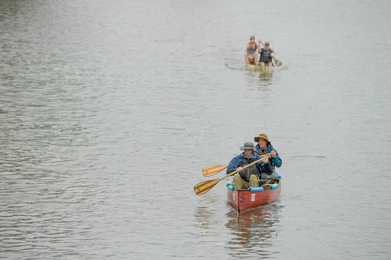 Canoe racers paddle down the Fox River in Batavia during the annual Mid-American Canoe & Kayak on Saturday, June 1, 2024.