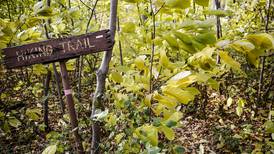 Spare the gas, not the fun: check out 25 fun things to do close to Morris
